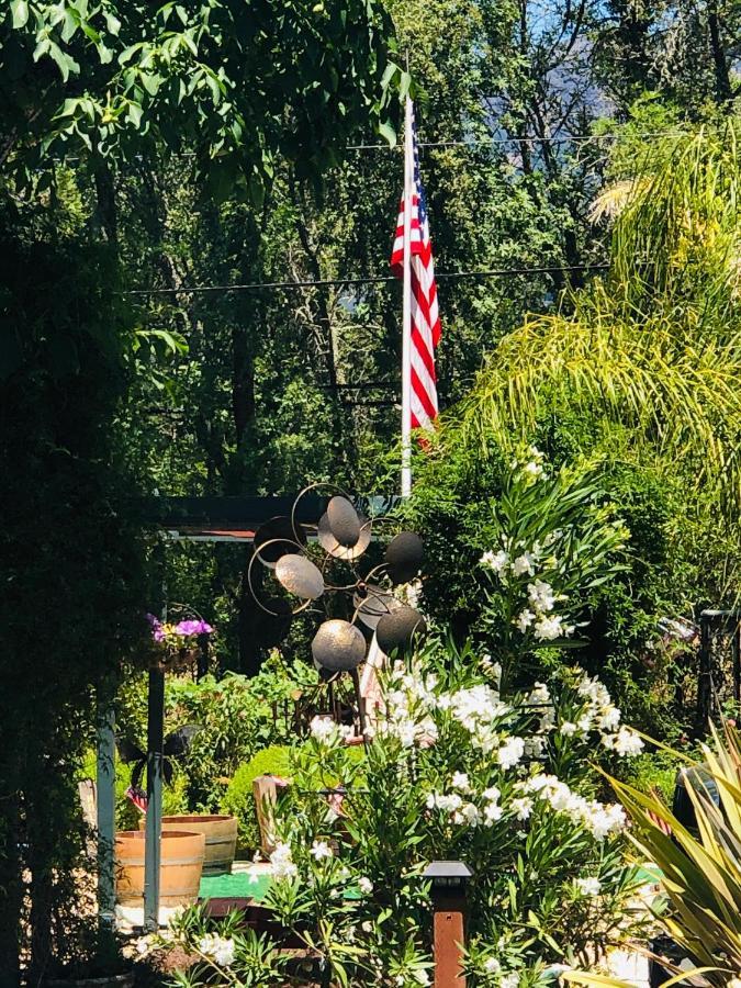 Bed and Breakfast Foothill House Calistoga Exterior foto