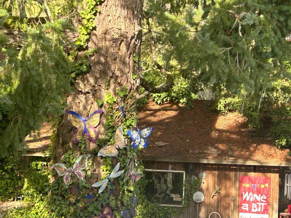 Bed and Breakfast Foothill House Calistoga Exterior foto